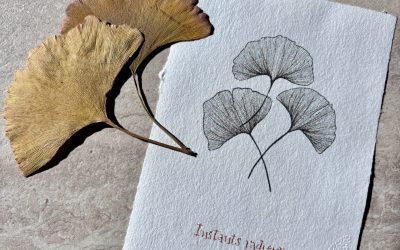 Atelier de calligraphie à la plume pointue à l&rsquo;hôtel Sangha de Toulouse